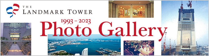 フォトギャラリー