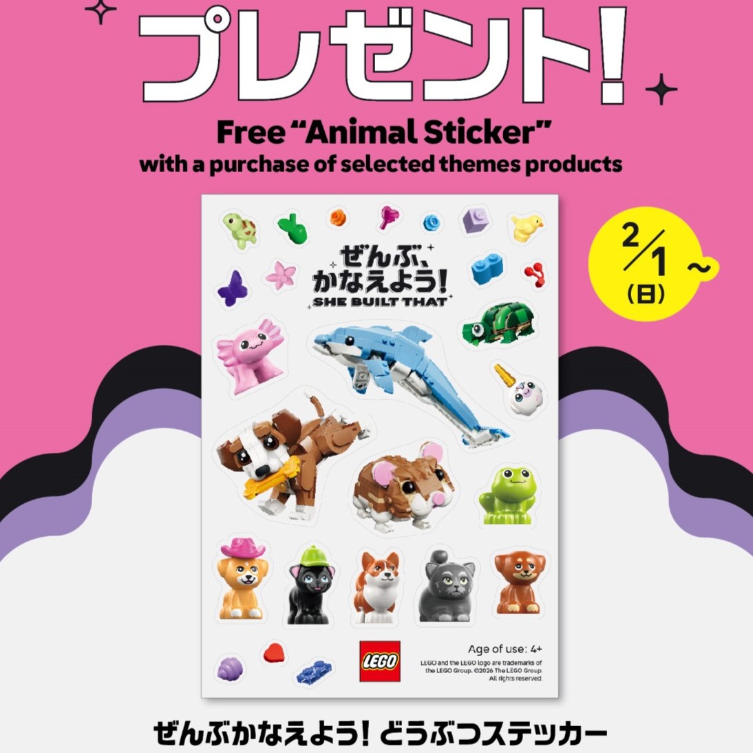 .お買い上げキャンペーン実施中！