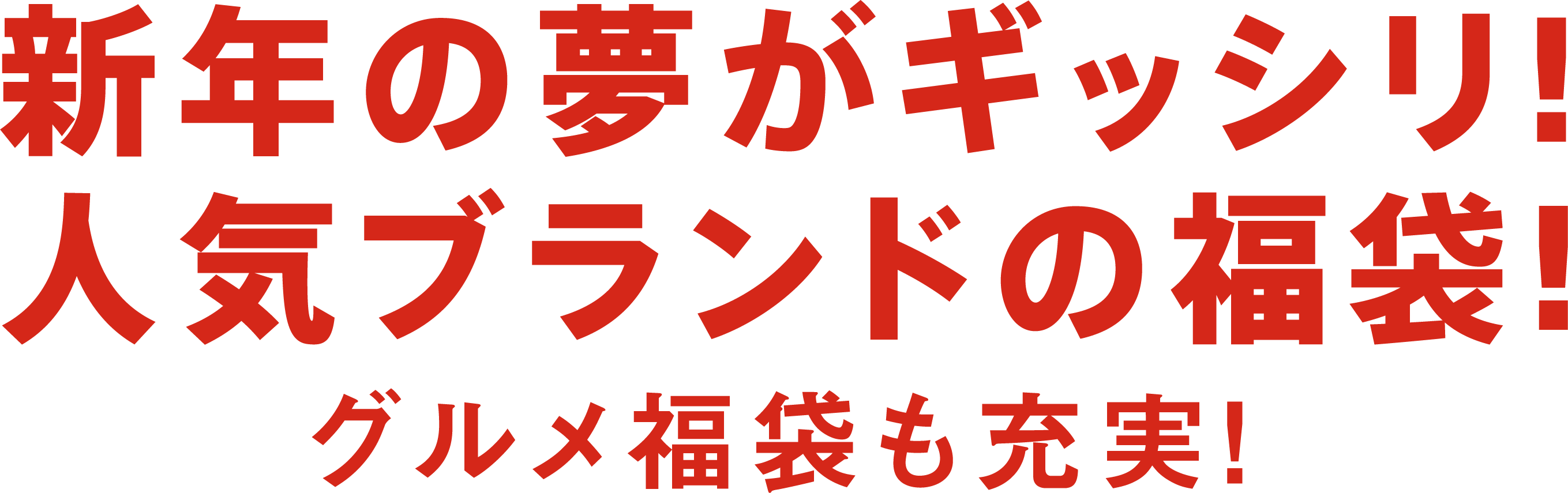 新年の夢がギッシリ！人気ブランドの福袋！