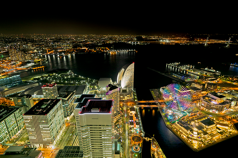 スカイガーデンからの眺望 夜